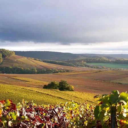 La Tuiliere Bed & Breakfast *