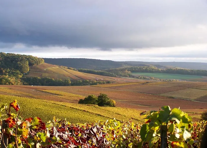 La Tuiliere Bed & Breakfast 3*